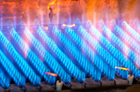 Paintmoor gas fired boilers